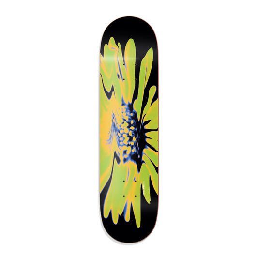 Shape Colors Maple Yellow Flower